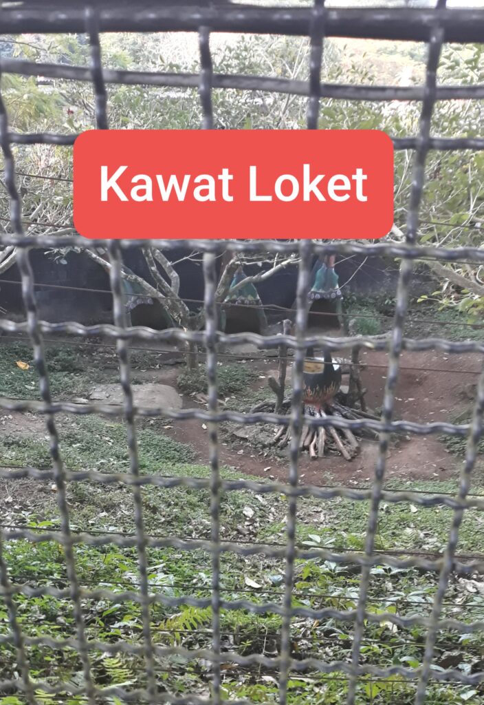 Kawat Loket 2